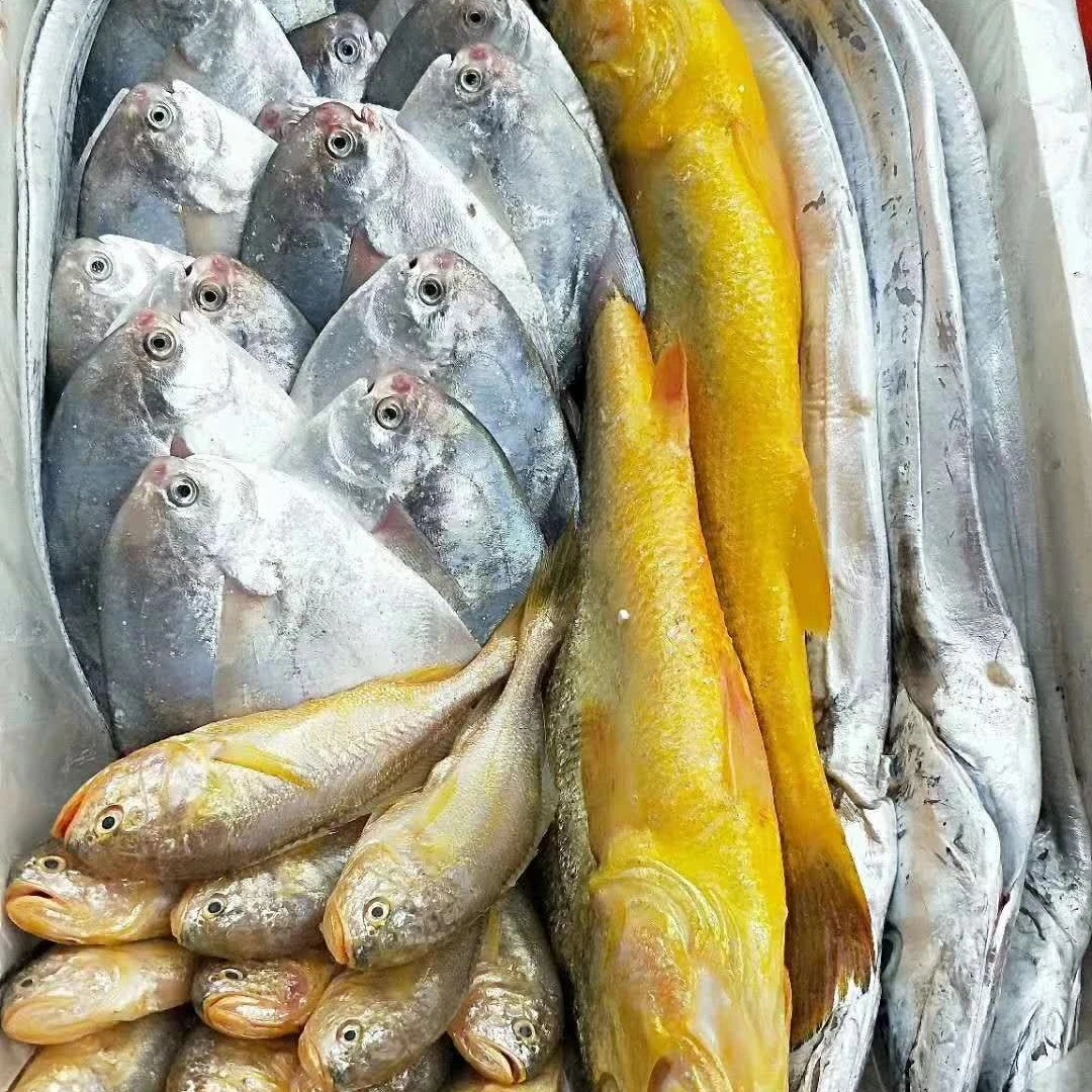 精品新鲜多多礼包多样组合时令海鲜随机搭配(黄鱼带鱼鲳鱼虾为主)