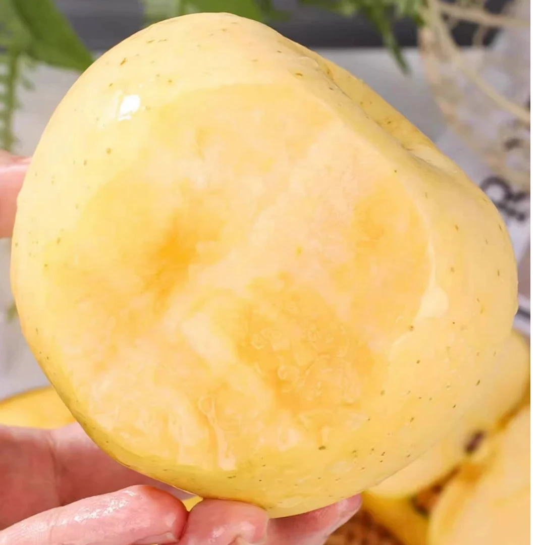 【威海园区直发】维纳斯黄金苹果彩箱净重4.5斤纯甜无酸坏果包赔