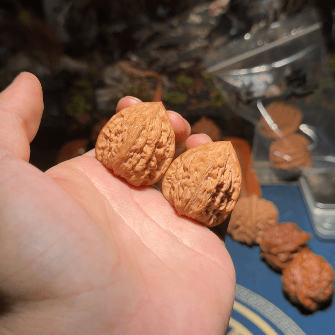 286号奶油塔文玩核桃