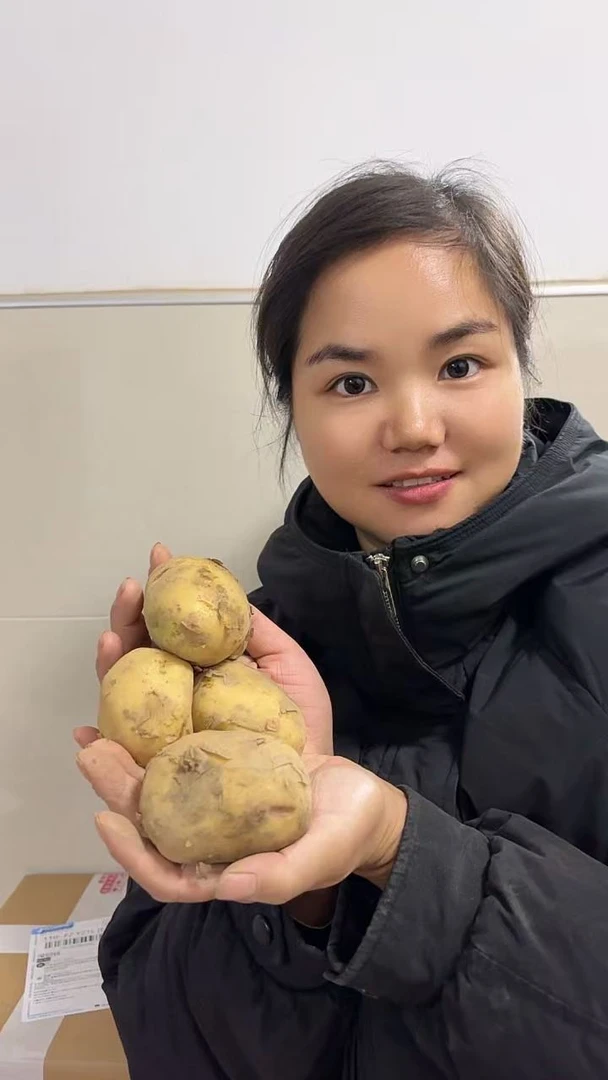 村里种的黄心土豆5斤包邮