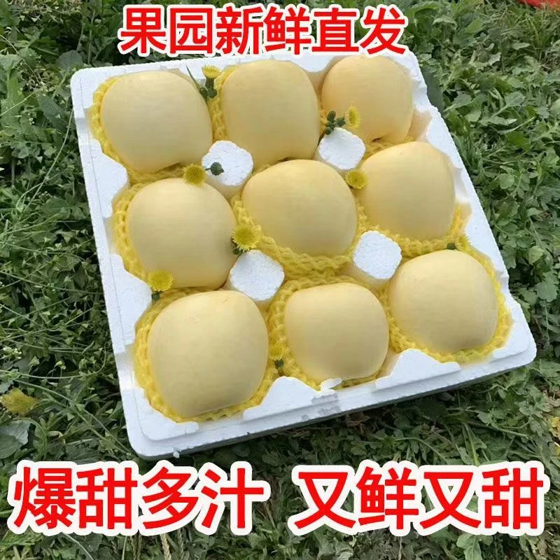 【10斤特大果】正宗烟台奶油苹果5/10斤冰糖心黄金批发Z