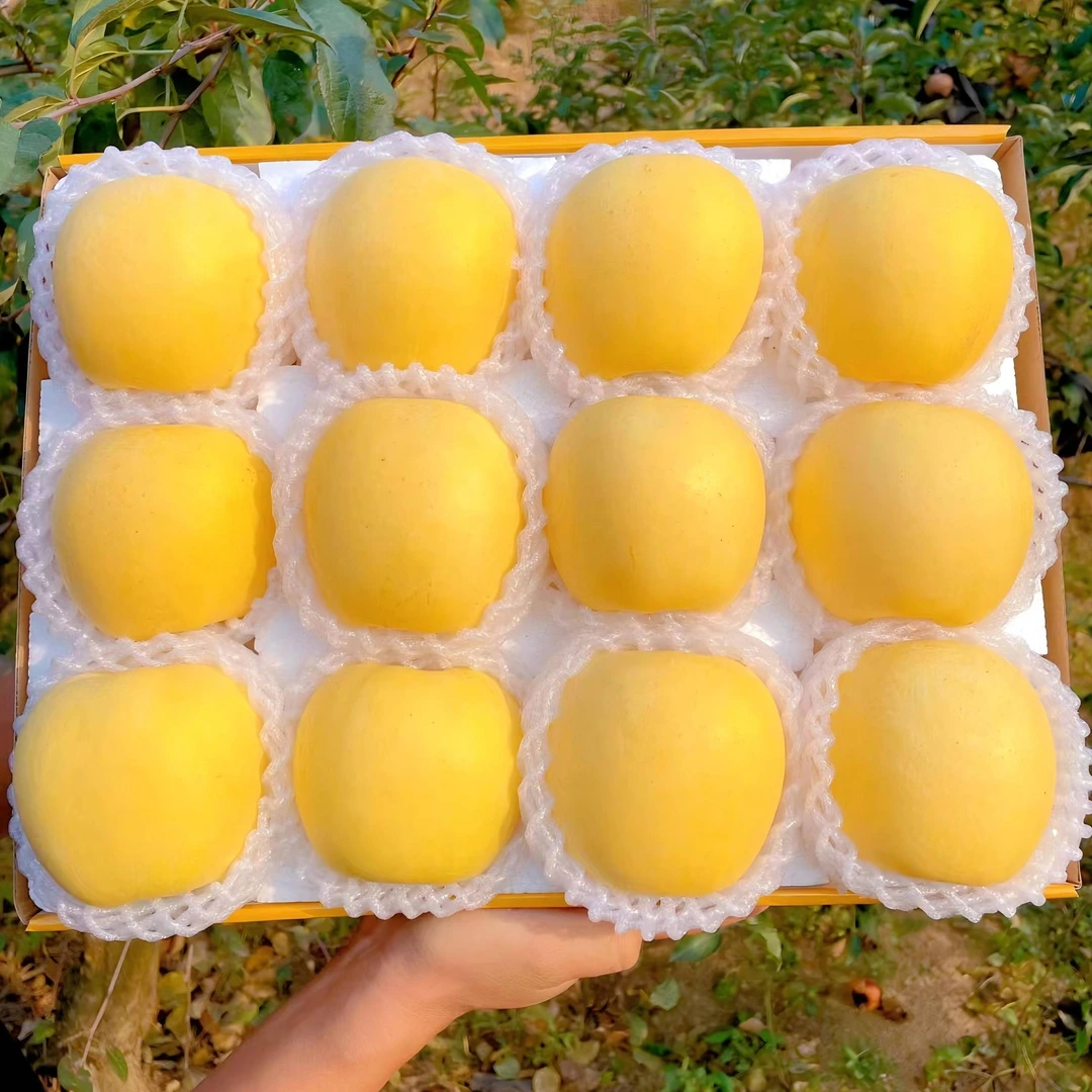 【10斤特大果】正宗烟台奶油富士苹果3/5/10斤冰糖心黄金富士批发Q