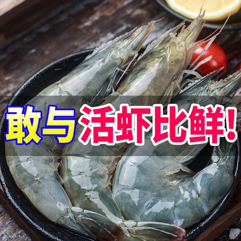 海水大虾 速冻发货