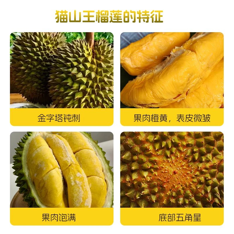D197马来西亚猫山王一物一拍当月新果D200D101红肉顺丰冷链发货