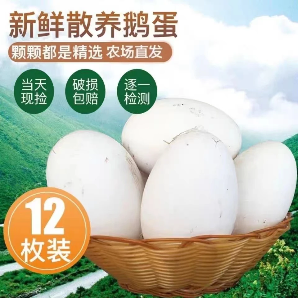【双黄大鹅蛋】农家散养新鲜土鹅蛋120-140g 现发营养鲜鹅蛋12枚