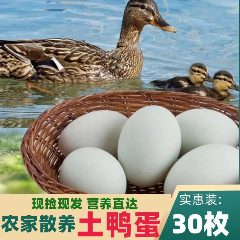 农家散养绿壳白壳生鸭蛋新鲜当日农家土鸭蛋大个鸭蛋