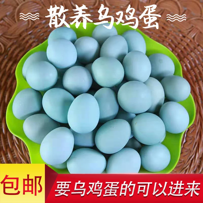新鲜绿壳土鸡蛋乌鸡蛋农家散养无抗绿皮初生土鸡蛋草鸡蛋整箱现捡