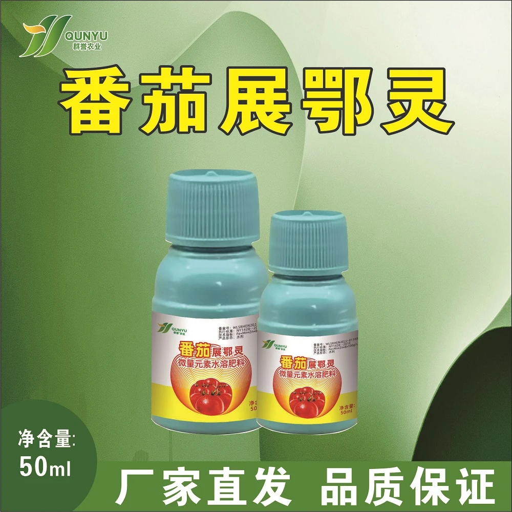 番茄绿萼长萼展萼拉长萼片喷施点花喷花蘸花农业伴侣增色生长技术