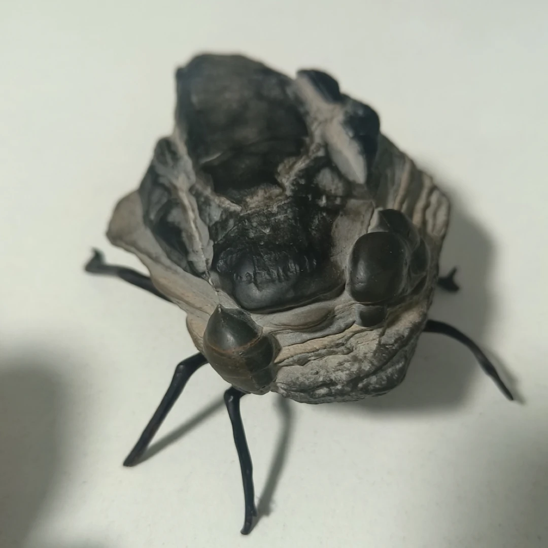 灵璧珍珠象形石纹石