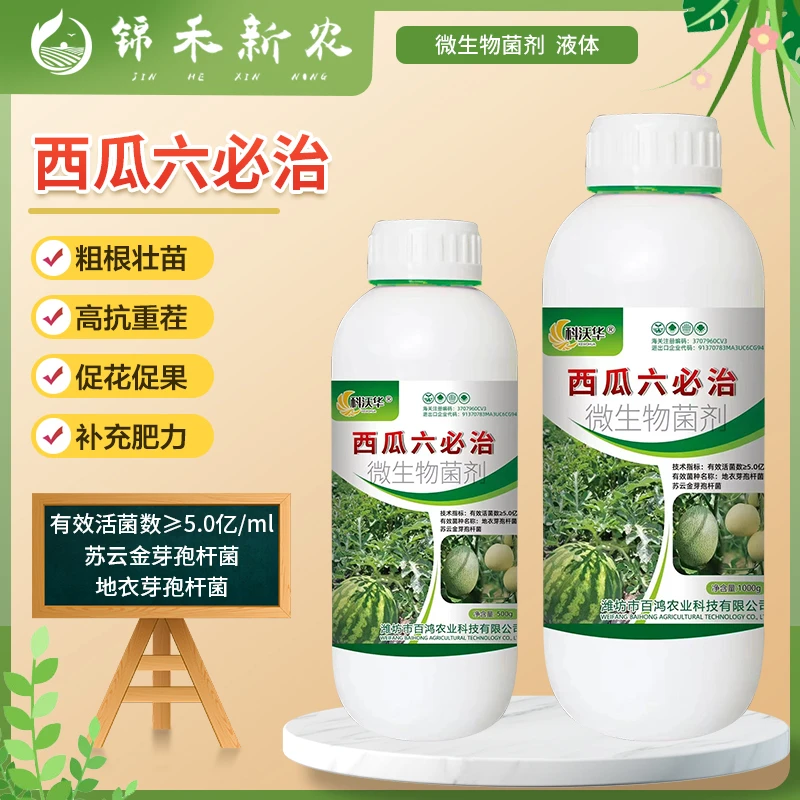 西瓜六必治香甜瓜哈密瓜防黄叶死苗枯萎蔓枯青枯微生物菌剂叶面肥