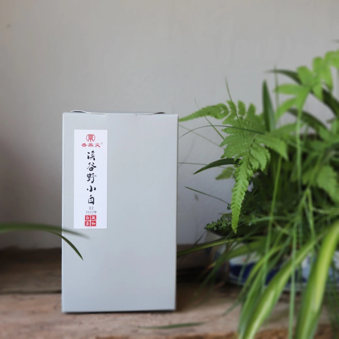 香鼎尖溪谷野小白02 荒野小菜茶2022年春季花香贡眉50g/盒