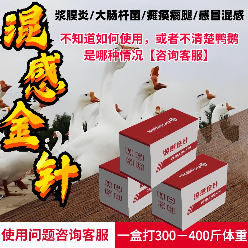 【混感金针】鸡鸭鹅浆膜炎大肠杆菌病毒混感软腿瘫痪瘸腿白色粪便