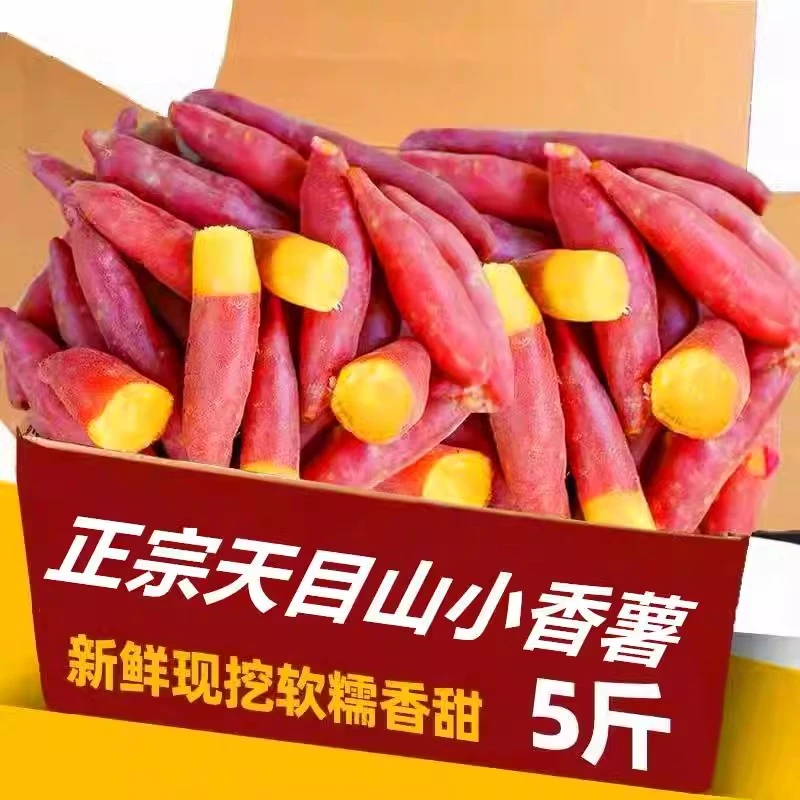 临安天目山小香薯农家新鲜小红薯板栗番薯迷你地瓜手指薯1-5斤