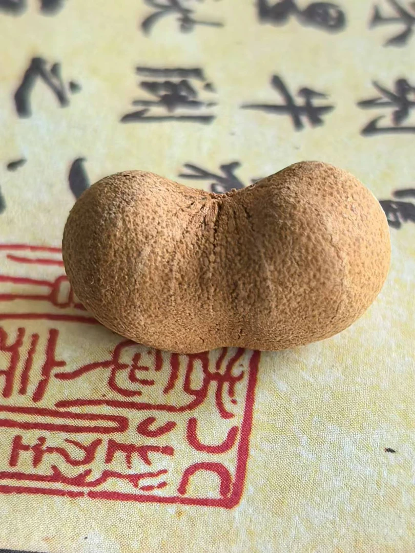 天台山五线菩提异形籽