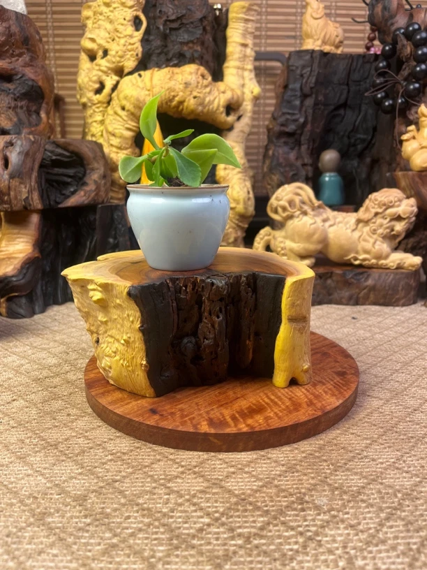 雷击造型枣木手工木料手把件摆件雷击枣木底座