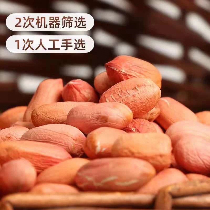 (陶书记推荐)2025年新鲜山东花生生花生米红皮大仁榨油杂粮3斤