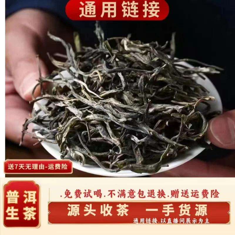 (CN500)LRX/2023年春/懂过古树混采/晒青毛茶/1000g散装