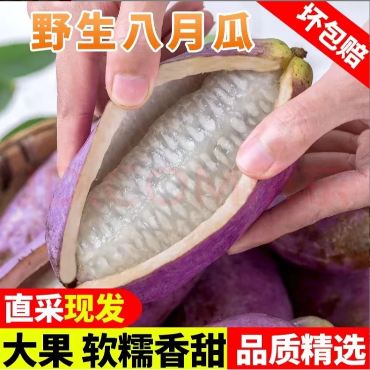 【宠粉福利】深山新鲜水果八月瓜预知子牛腰果八月炸孕妇果多仓发货
