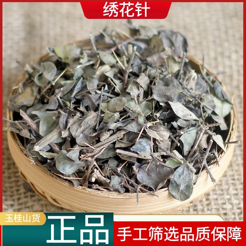 绣花针正宗虎刺根老鼠刺精选干品鸟不宿散装叶菜250g/500g包邮
