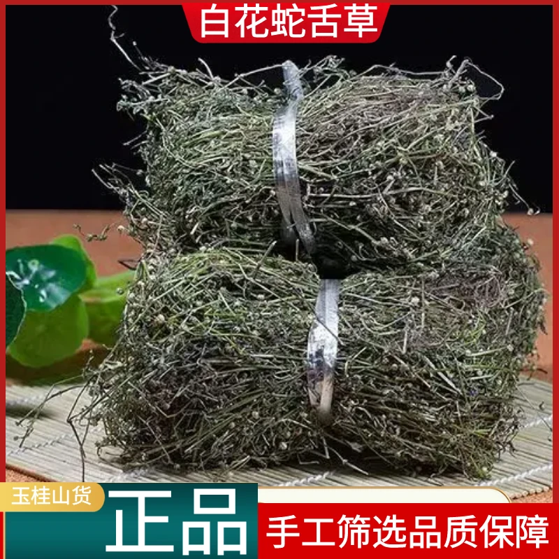 白花蛇舌草正品野生新货百花蛇舌草晒干舌蛇草250g500g另售金钱草