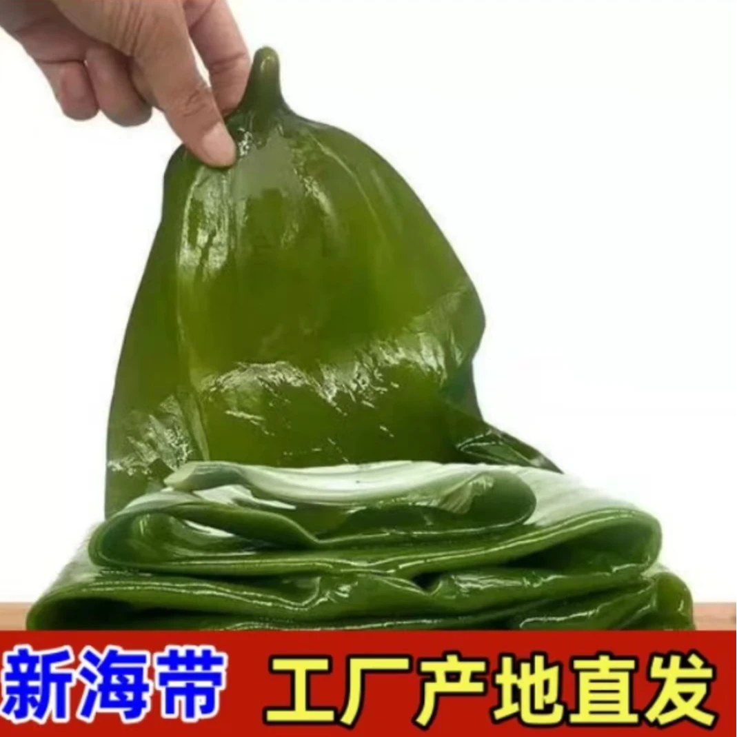 大连新鲜盐渍嫩海带5斤/箱（含箱5斤）