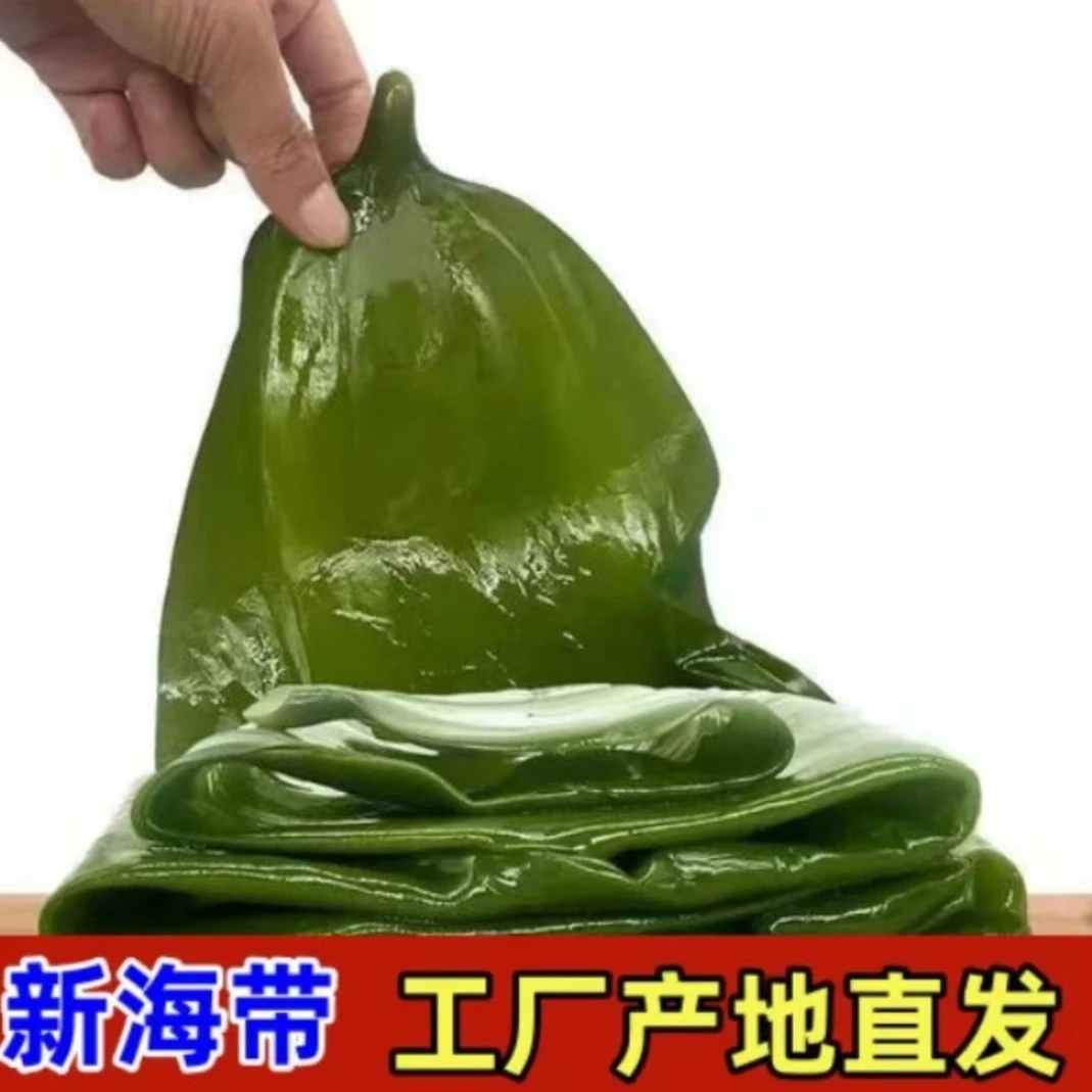 大连新鲜老少皆宜盐渍嫩海带5斤/箱（含箱5斤）