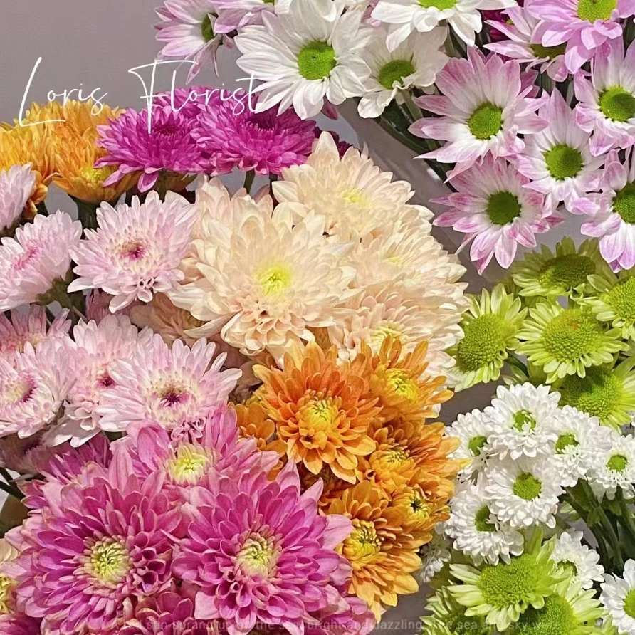 随机混色小雏菊10支——收到花花第一时间醒花哦（实物以直播间为准）