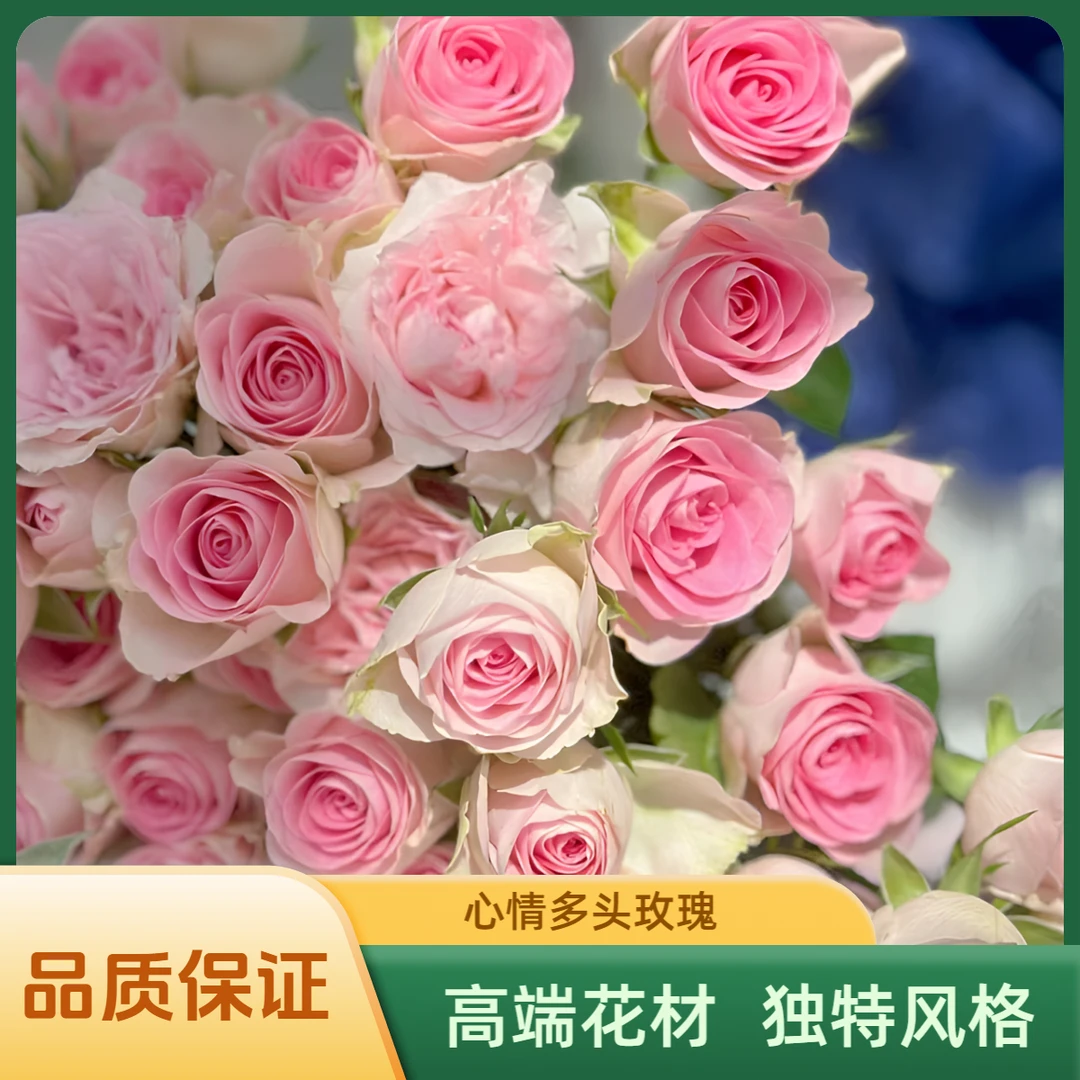 花+  心情—多头玫瑰（实物以直播间为准）生活插花花艺高端
