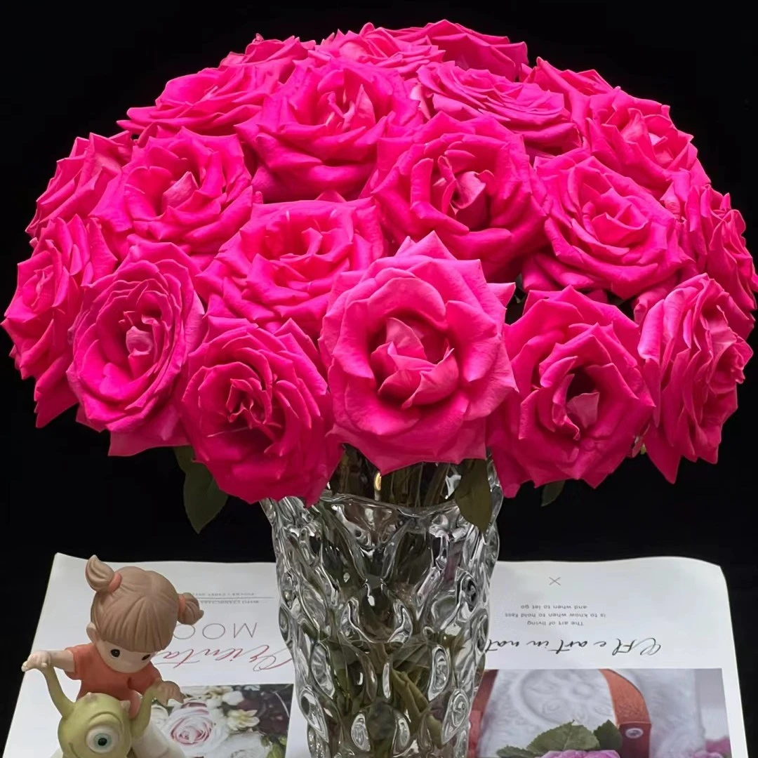 弗洛伊德玫瑰-高奢经典玫红色系魅惑人心