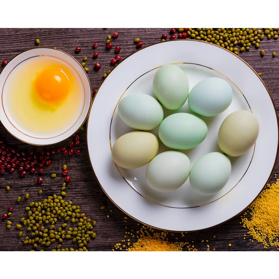 禹特农场【初生蛋】25枚 纯绿壳 农场林养鸡蛋