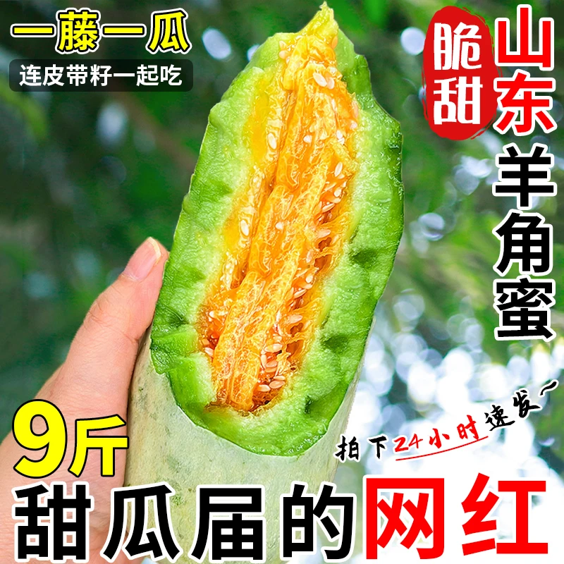 山东羊角蜜甜瓜5斤新鲜水果应当季整箱甜瓜博洋羊角脆蜜瓜10包邮