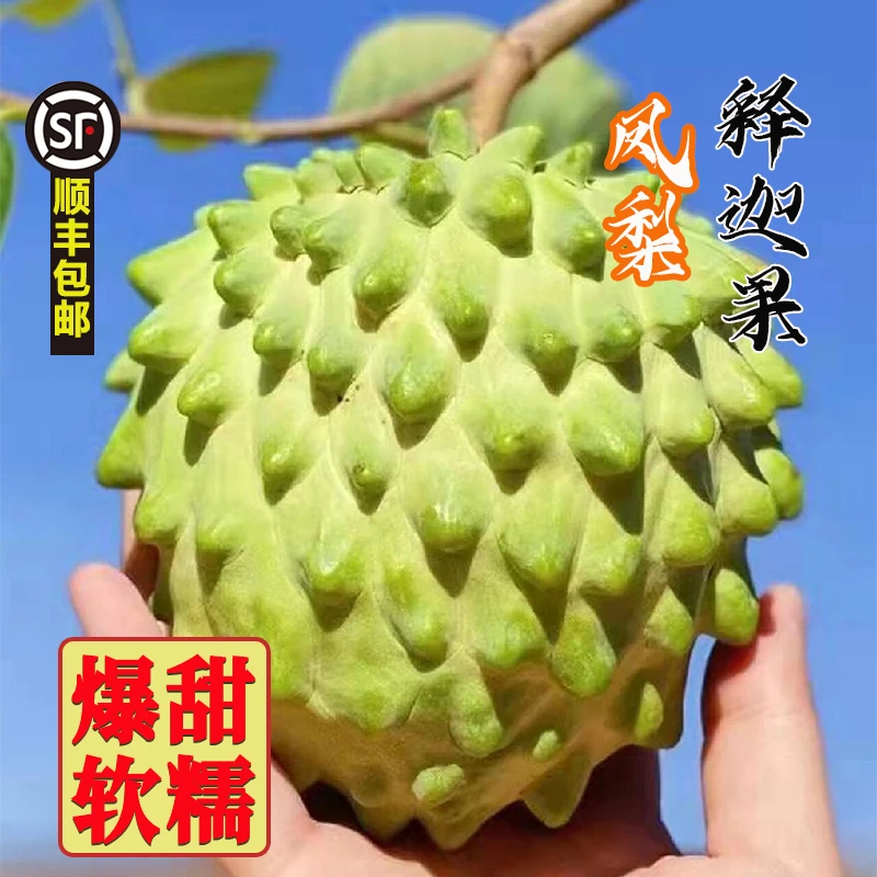 【顺丰包邮】牛奶凤梨释迦果新鲜番荔枝水果佛头果林檎释迦摩尼果