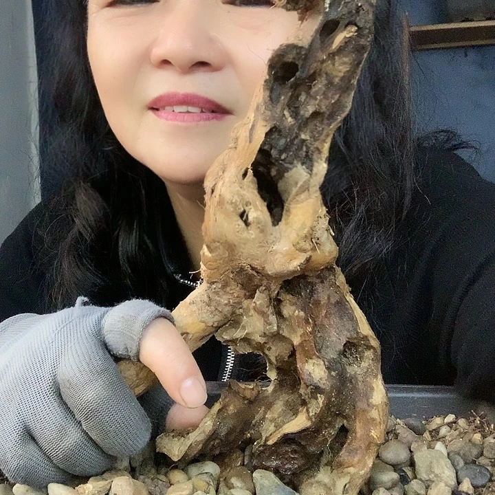 【闪购商品】a**爱黄荆