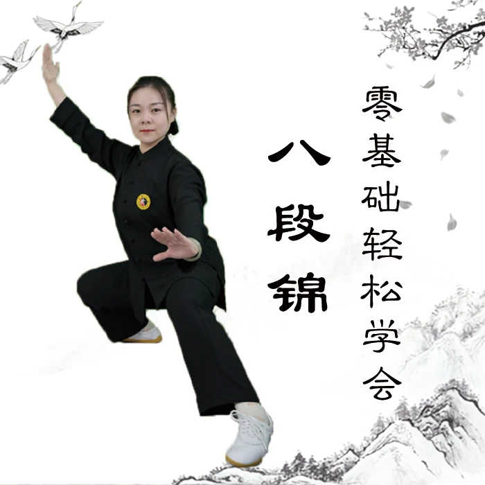 八段锦精要视频教学（赠桩功） 视频课不发货