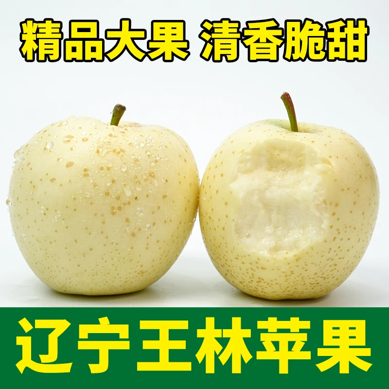 王林苹果2024新鲜当季苹果脆甜正宗王林苹果辽宁绥中特产新鲜苹果