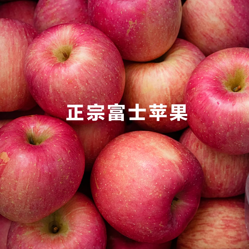 富士苹果正宗东北辽宁绥中新鲜苹果当季脆甜冰糖心红富士非寒富