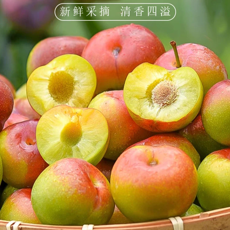 四川宜宾正宗茵红李半边红李子脆甜多汁生态果园产地新鲜现摘现发