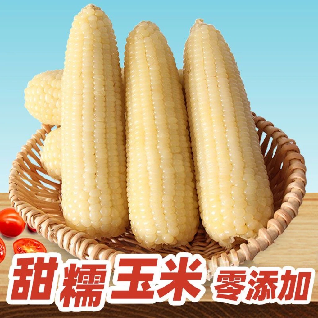 2023年新货东北甜糯黏玉米均重280-300g 一箱10支 真空锁鲜