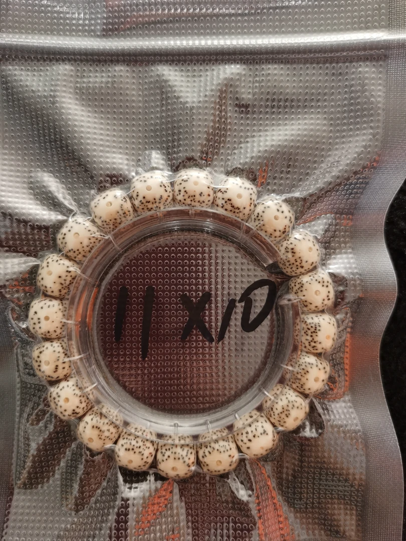 海南毛感星月菩提手串单圈11*10足尺大尺寸正月留白原生态油性好