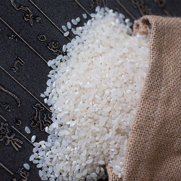 常州武进南粳46大米高品质2024新米10斤装5kg