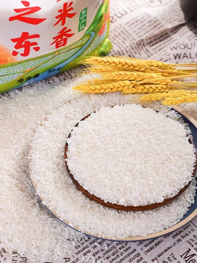 俄风之东中俄界河大米10斤/袋煮饭煮粥香米家用产地直发饱满