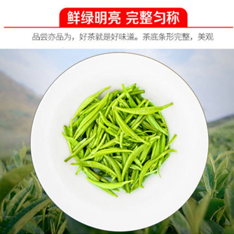【兴B四月茗】雨前中芽新茶绿茶信阳毛尖浓香耐泡