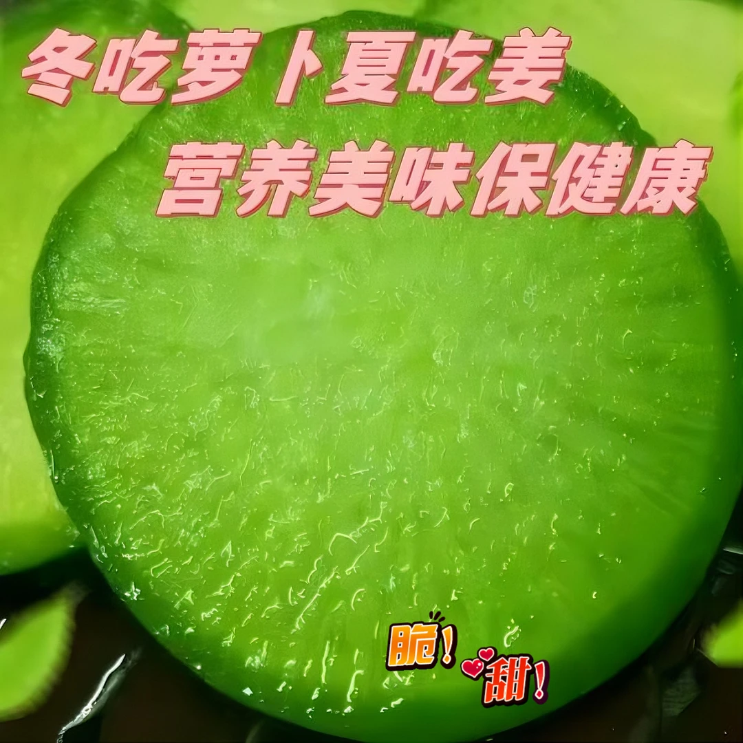 【新店冲量】山东潍坊甜脆水果萝卜口感脆甜新鲜正宗特产现拔现发