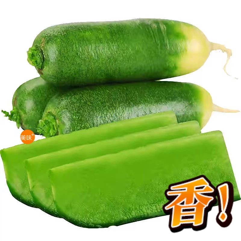 山东正宗潍坊甜脆水果萝卜新鲜青皮脆甜多汁清脆饱满美味产地现拔