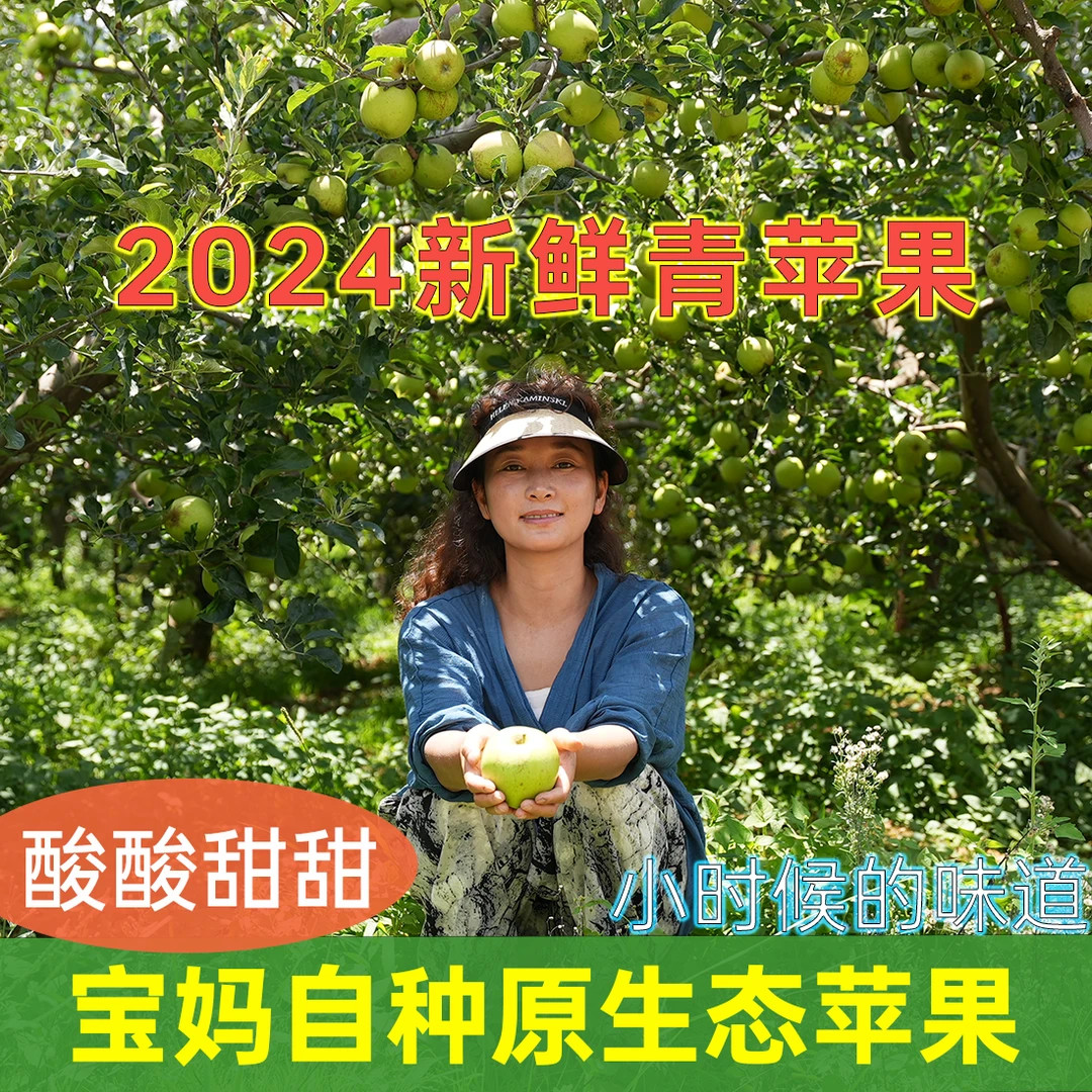 2024年凉山盐源老品种黄元帅金帅青苹果酸甜多汁现摘现发脆爽香甜
