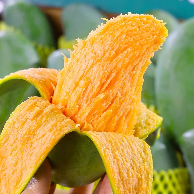 （花皮桂七芒）正宗广西百色田东桂七香芒3/5/10斤应季水果纯甜浓香