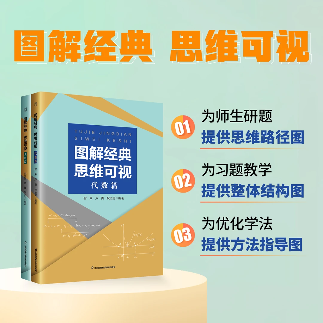图解经典 思维可视（几何代数篇）高考重点讲解 高中数学 聚焦思维