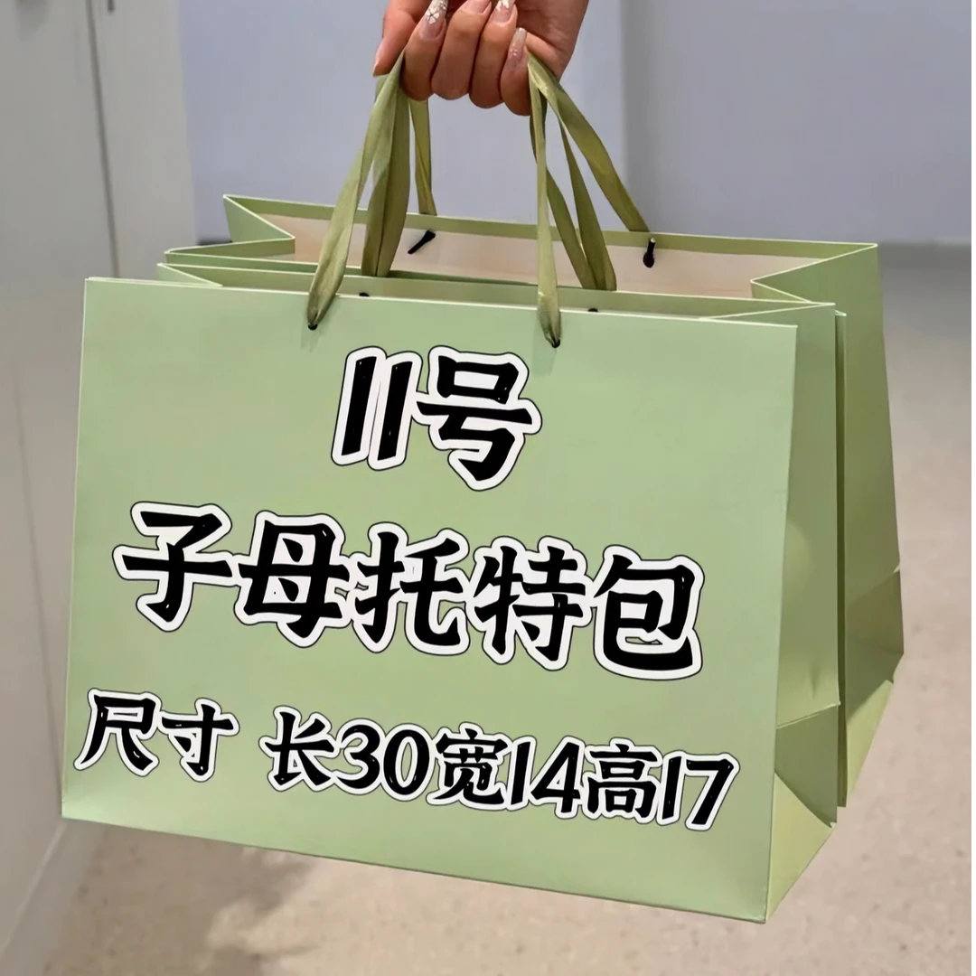 【11号】经典托特包 网红时尚女士潮流便携立体轻奢百搭款 K8221