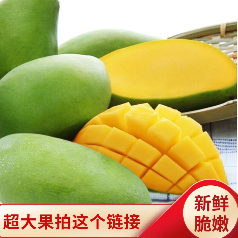 桔良人超大果广西青皮金煌芒5-9斤新鲜应季水果大芒果香甜多汁