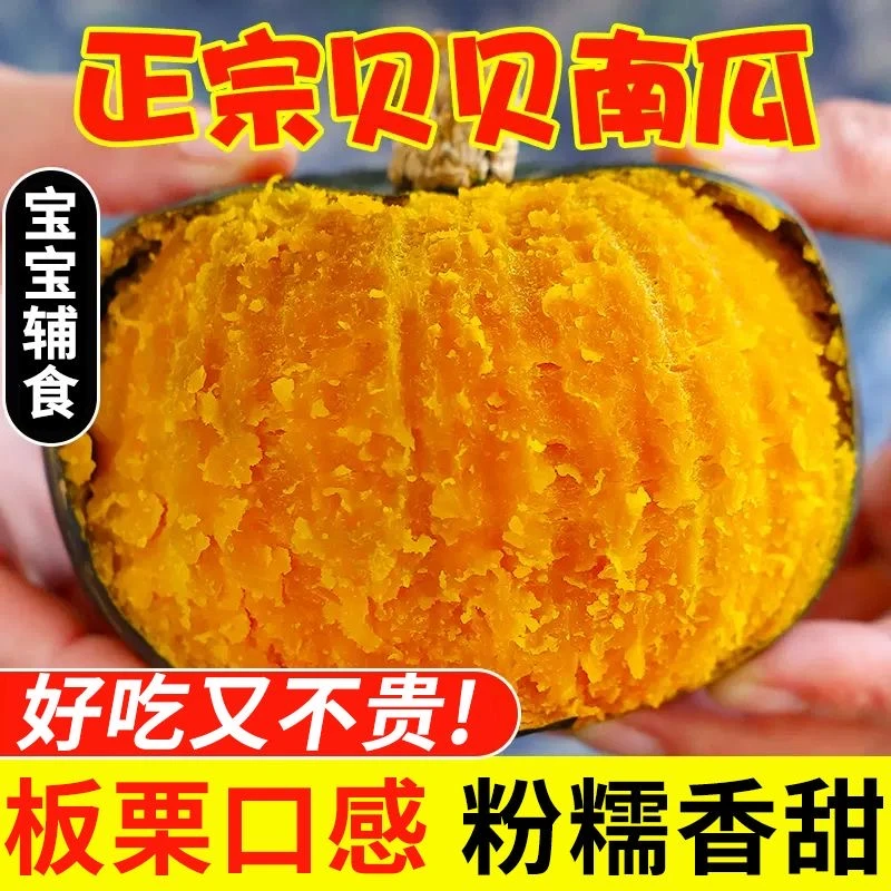 山东潍坊原产地正宗贝贝南瓜口感香甜粉糯新鲜自然优质优选自然